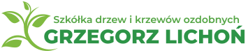 Grzegorz Lichoń Szkółka drzew i krzewów ozdobnych